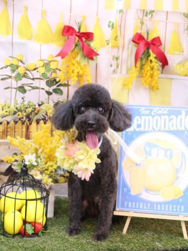 20240429梅ちゃん